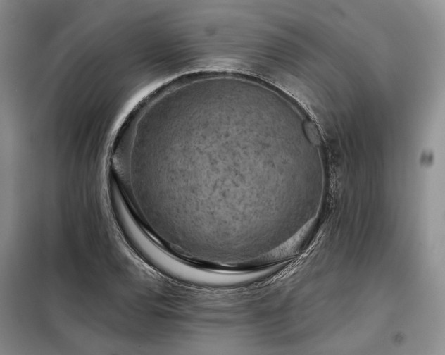 X0000098151120200804171606