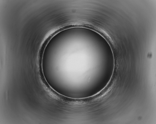X0000098151122200804171606