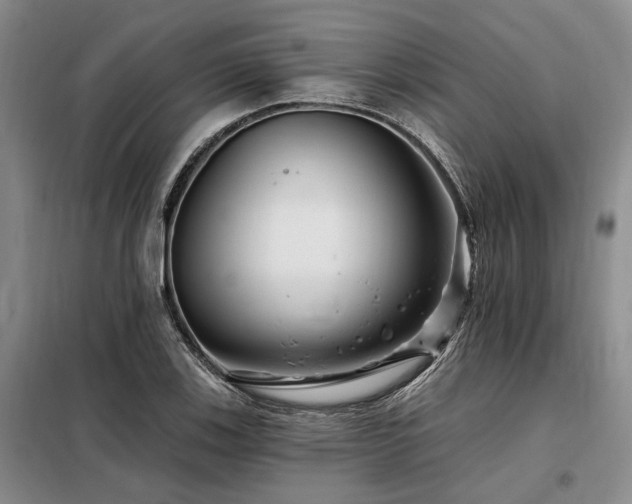 X0000098151123200804171606