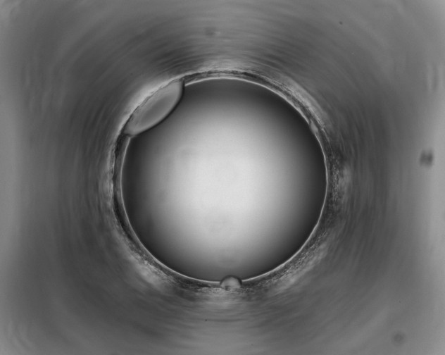 X0000098151124200804171606