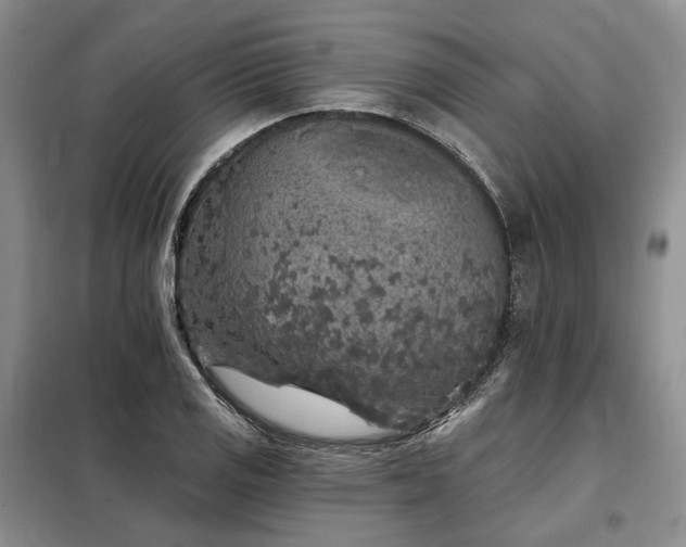X0000098151125200804171606