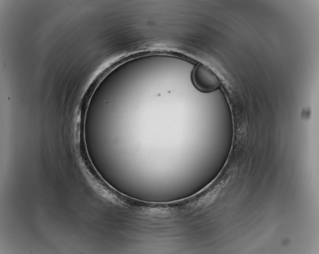 X0000098151126200804171606