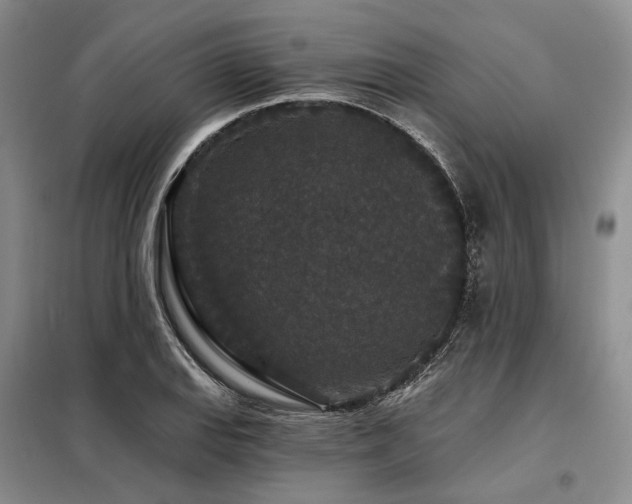 X0000098151127200804171606