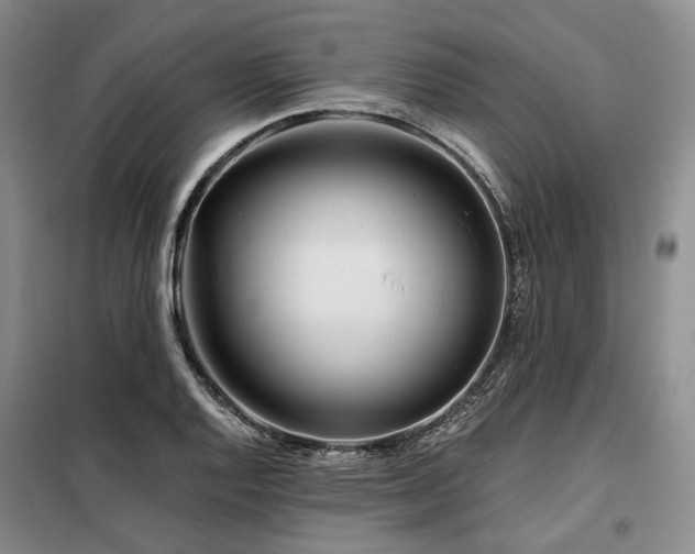X0000098151128200804171606