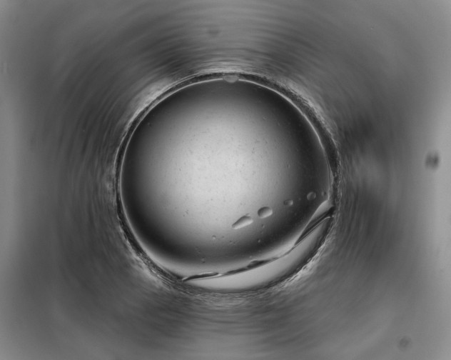 X0000098151129200804171606