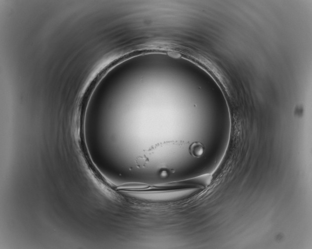 X0000098151131200804171606