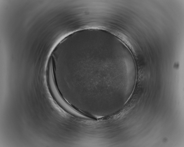 X0000098151132200804171606