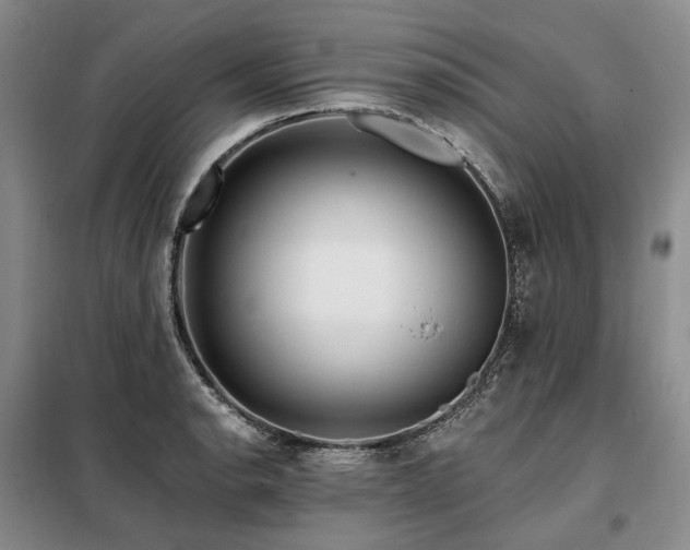 X0000098151134200804171606