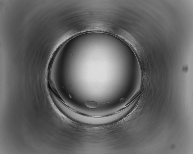 X0000098151135200804171606
