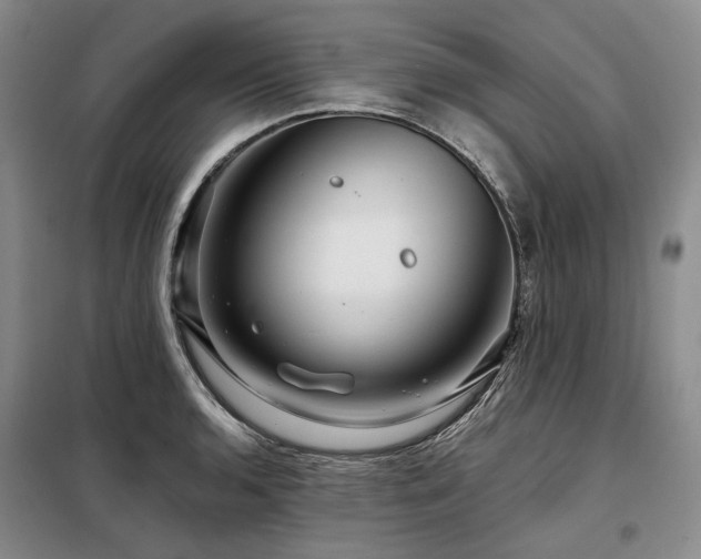 X0000098151136200804171606