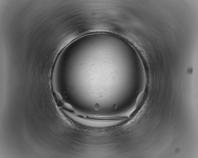 X0000098151137200804171606
