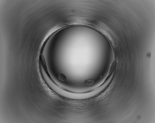 X0000098151138200804171606