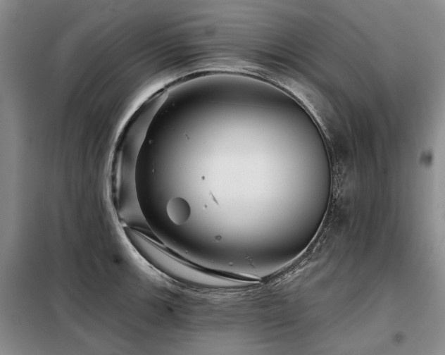 X0000098151139200804171606