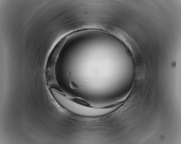 X0000098151140200804171606