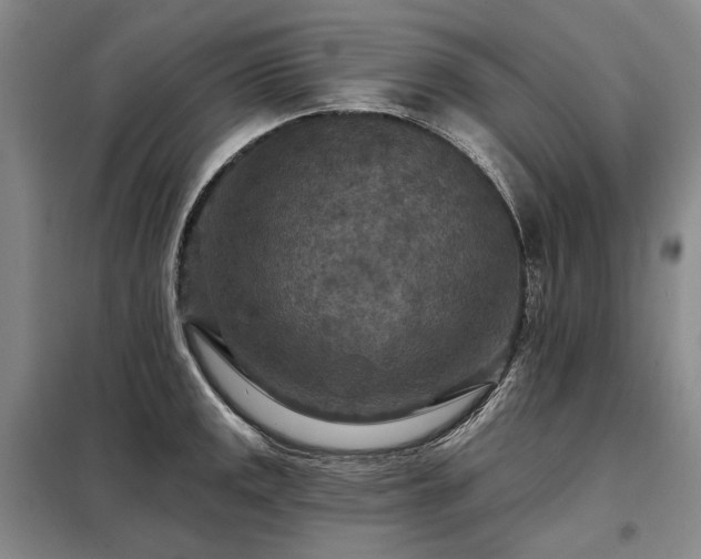 X0000098151141200804171606