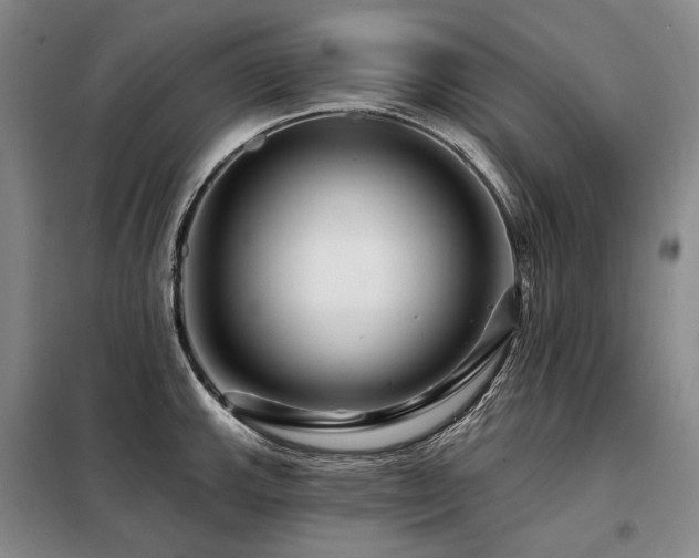 X0000098151143200804171606