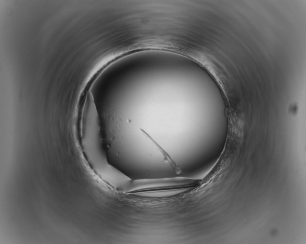X0000098151147200804171606