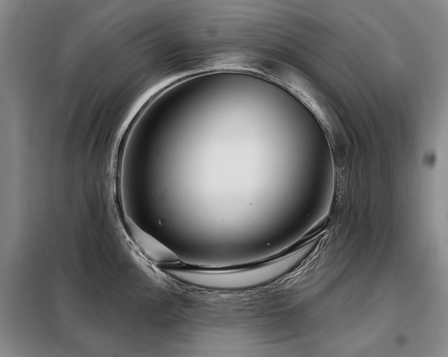 X0000098151148200804171606