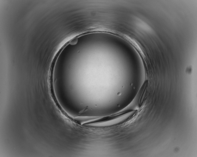X0000098151149200804171606