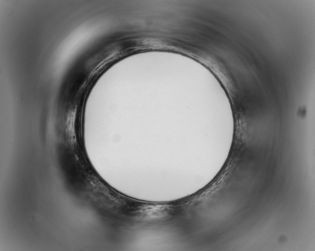 X0000098151150200804171606
