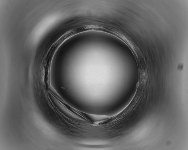 X0000098151151200804171606