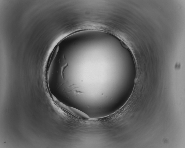X0000098151152200804171606