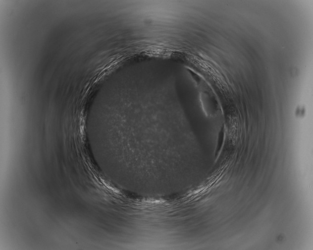 X0000098151154200804171605