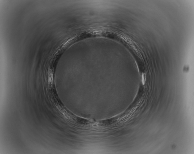 X0000098151155200804171605