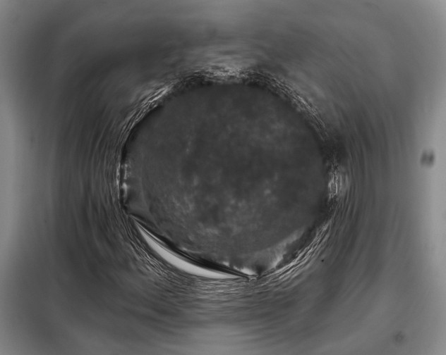 X0000098151156200804171605