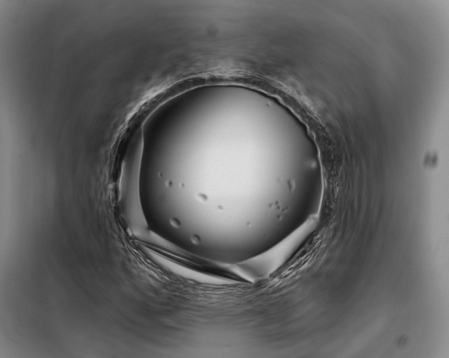 X0000098151160200804171605