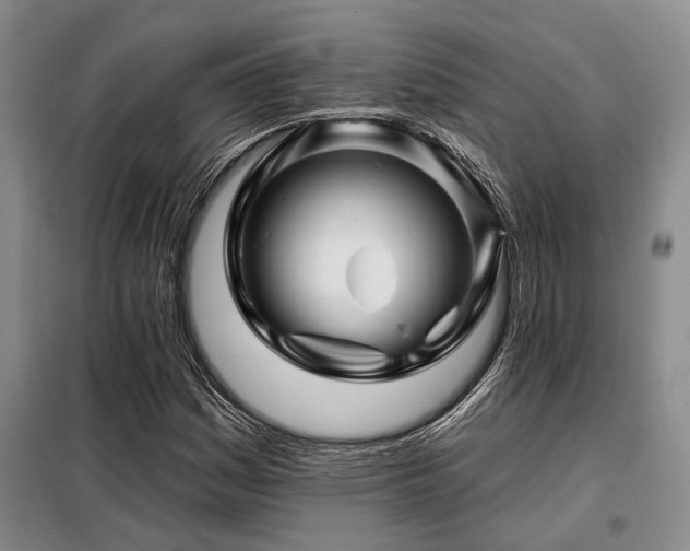 X0000098151161200804171605