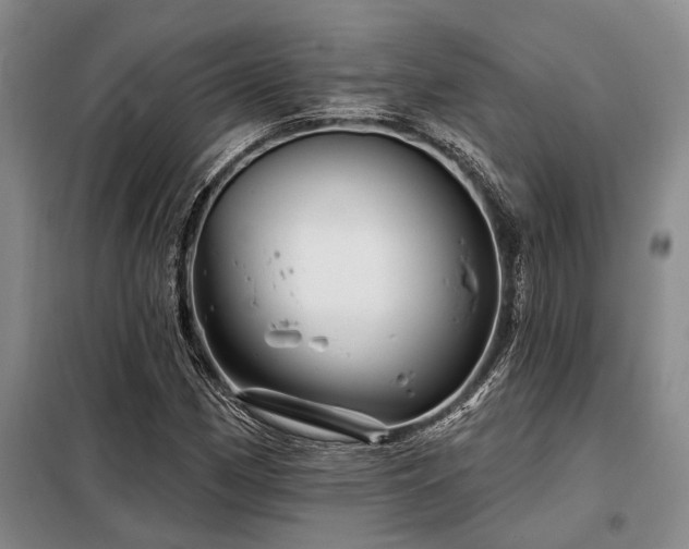 X0000098151162200804171605