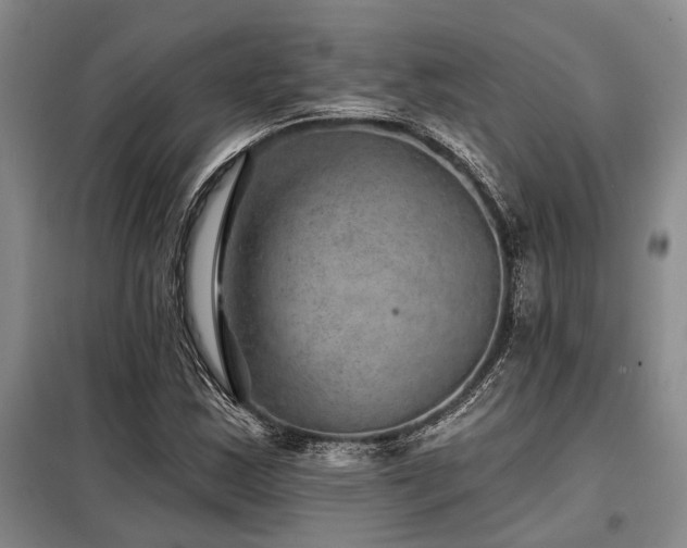 X0000098151163200804171605