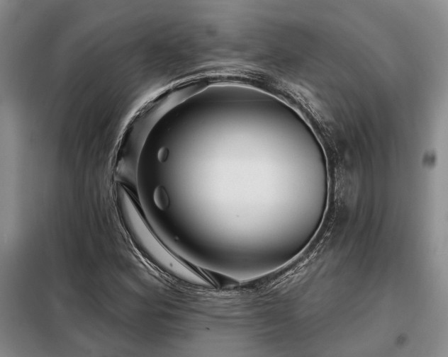 X0000098151164200804171605