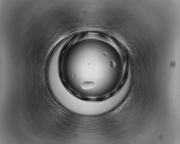 X0000098151165200804171605
