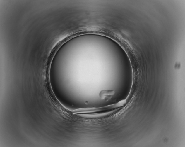 X0000098151166200804171605