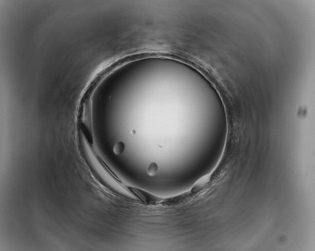 X0000098151168200804171605