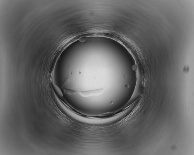 X0000098151169200804171605