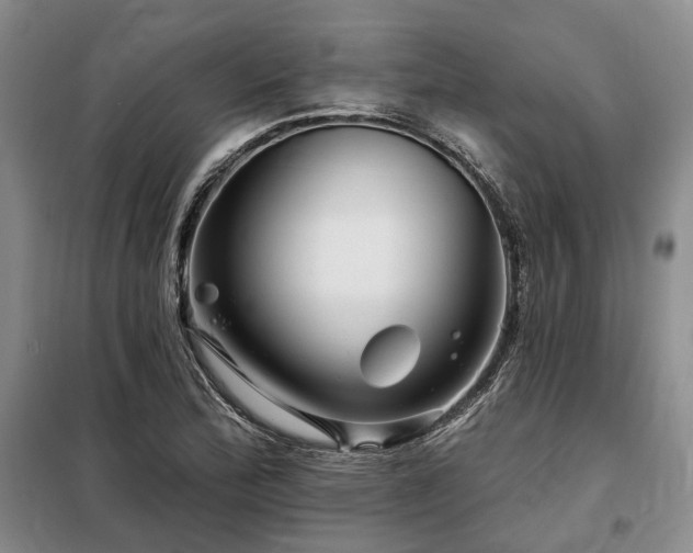 X0000098151172200804171605