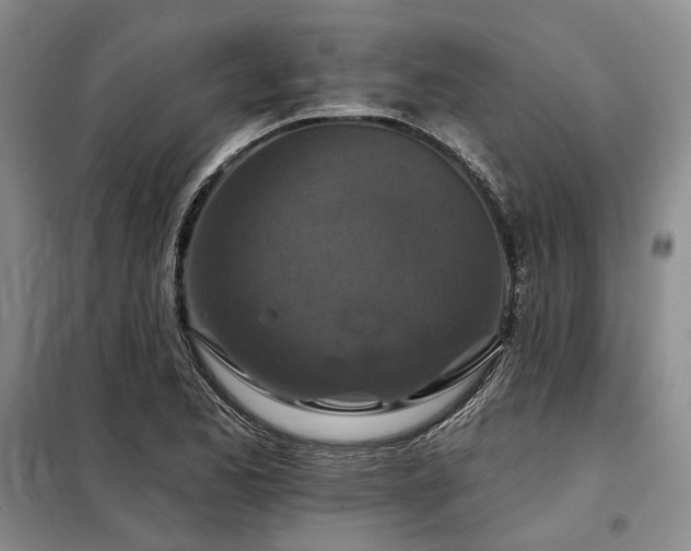 X0000098151173200804171605