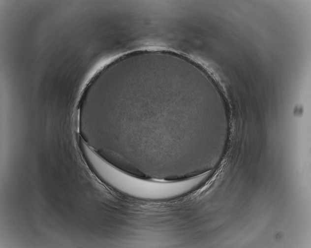 X0000098151175200804171605