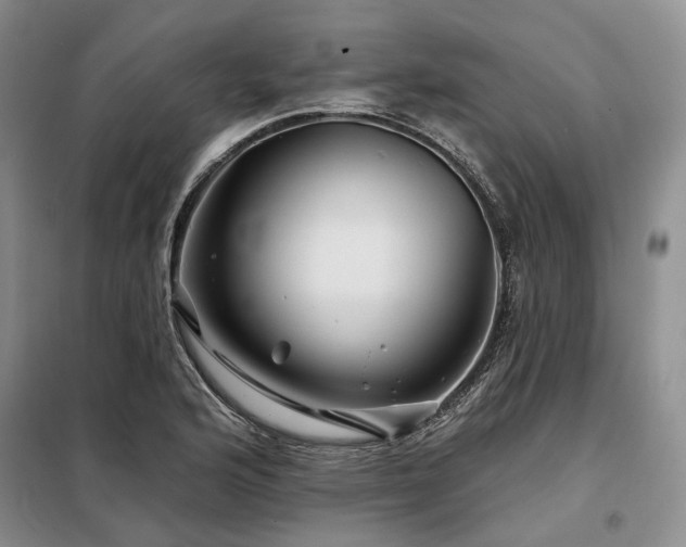 X0000098151176200804171605