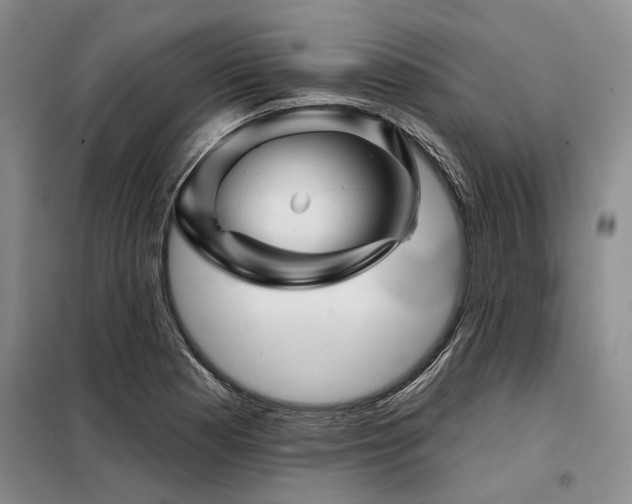 X0000098151177200804171605