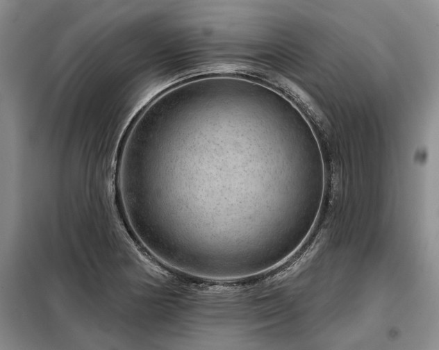 X0000098151178200804171605