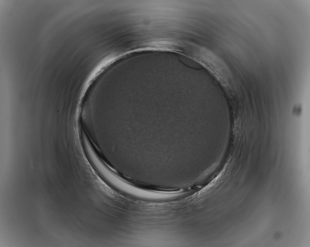 X0000098151180200804171605