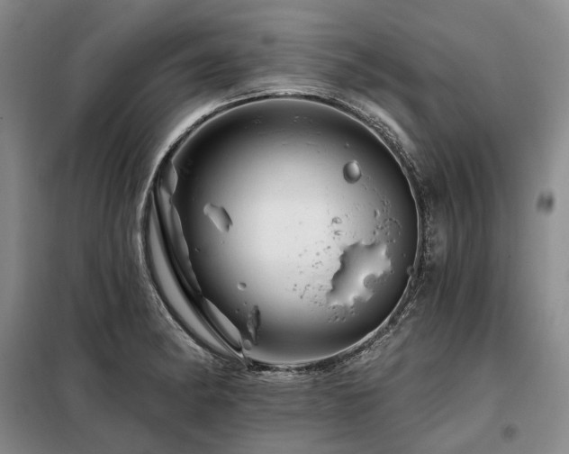 X0000098151182200804171605
