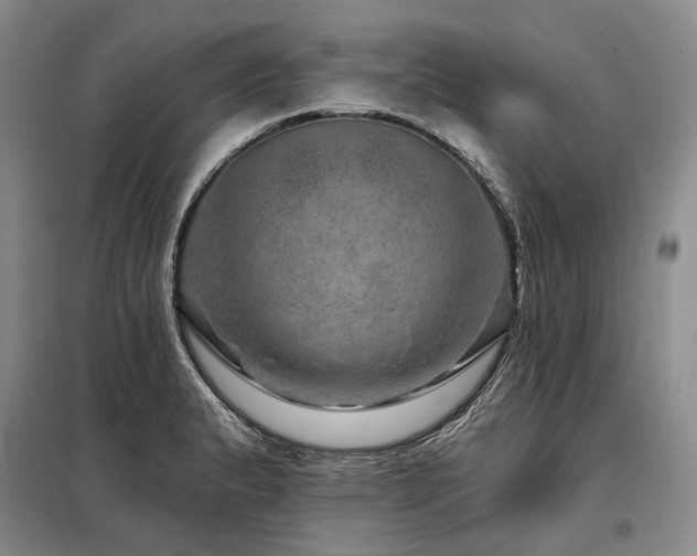 X0000098151183200804171605