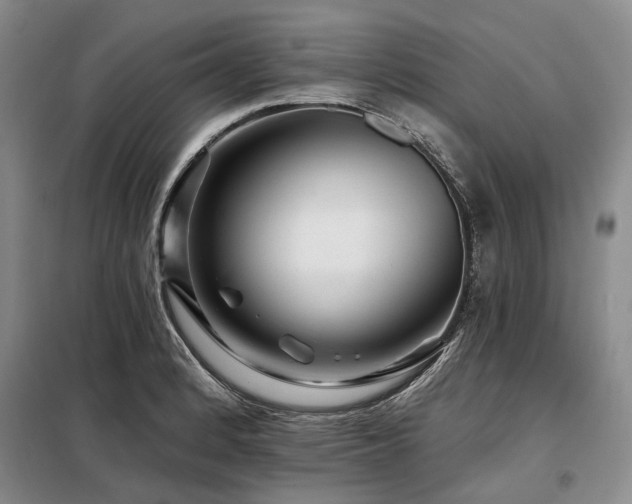 X0000098151184200804171605