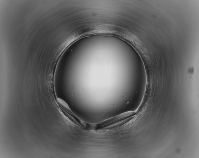 X0000098151185200804171605