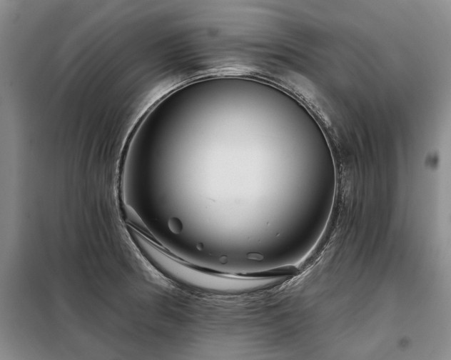 X0000098151186200804171605